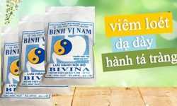 Hình ảnh thuốc Bình Vị Nam