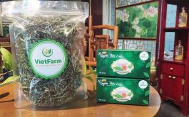 Trung tâm dược liệu Vietfarm - Địa chỉ cung cấp xuyên tâm liên uy tín, chất lượng số 1 Việt Nam