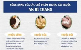 Bài thuốc An Bì Thang