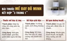 Liệu trình bài thuốc Mề đay Đỗ Minh