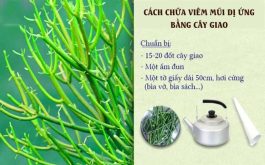 Cách chữa viêm mũi dị ứng bằng cây giao