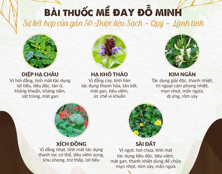 Thảo dược có trong bài thuốc Mề đay Đỗ Minh