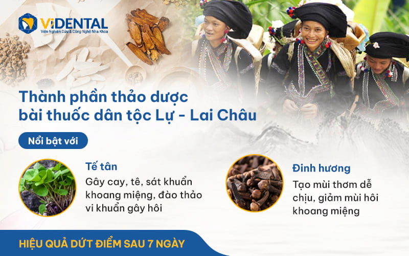 Nha Chu Tán - Giải pháp hữu hiệu cho tình trạng tưa miệng.