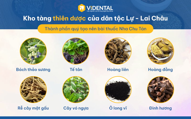 Nha Chu Tán có thành phần 100% từ thảo dược thiên nhiên.