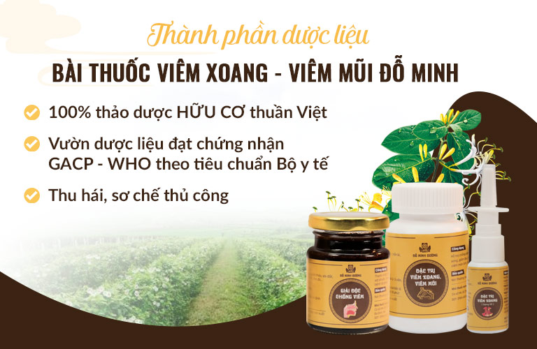 Thành phần thảo dược HỮU CƠ dùng điều chế bài thuốc Viêm xoang Đỗ Minh Đường