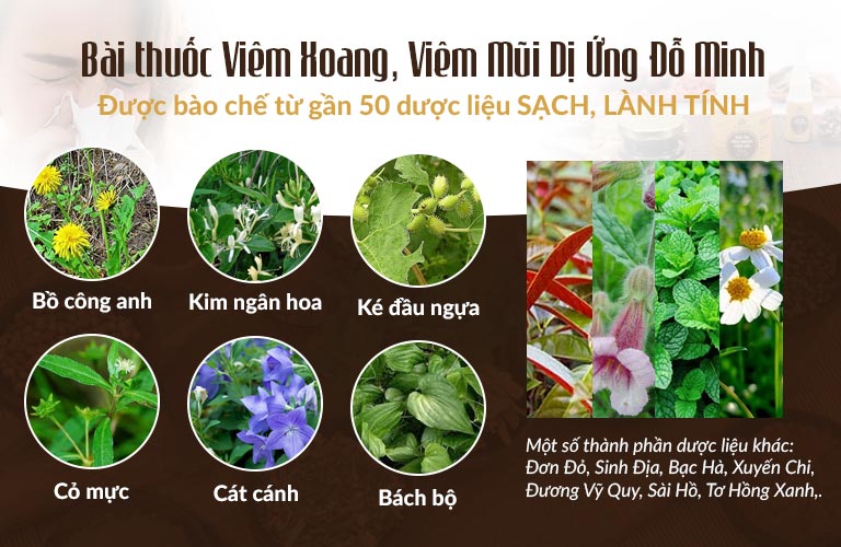 Một số thành phần tiêu biểu trong bài thuốc viêm xoang Đỗ Minh Đường