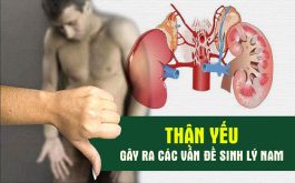 Thận Yếu Gây Yếu Sinh Lý, Suy Giảm Sức Khỏe?