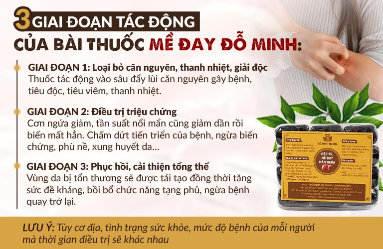 Giai đoạn tác động Mề Đay Đỗ Minh