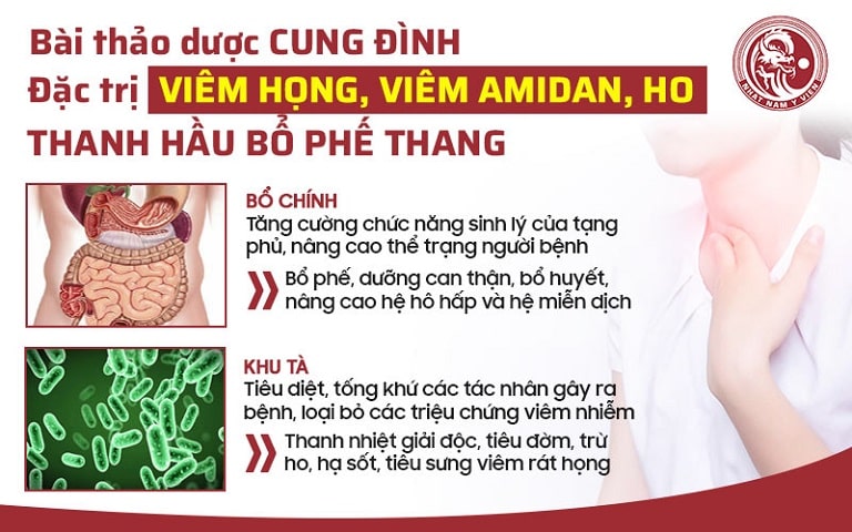 Cơ chế trị liệu đa tác động của Thanh hầu bổ phế thang