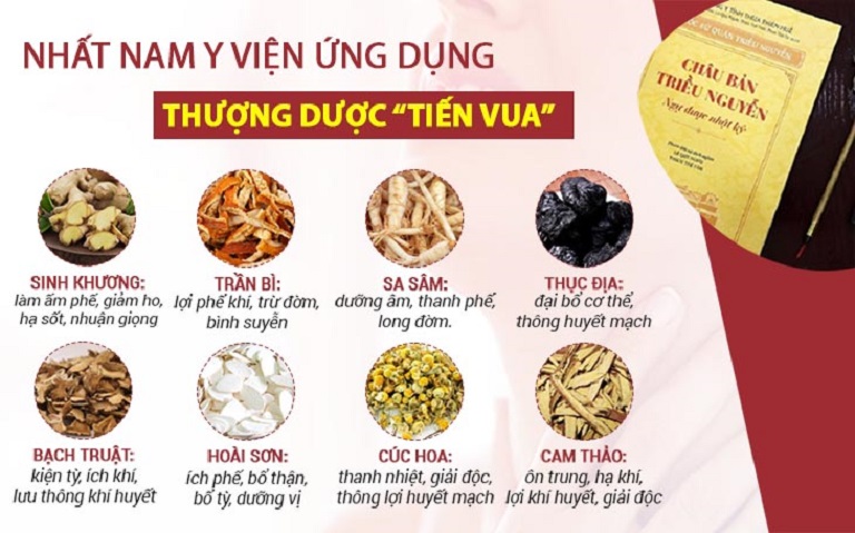 Thành phần ngự dược trong bài thuốc