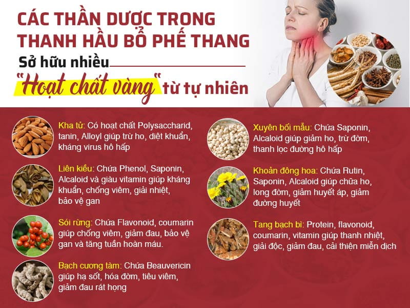 Thành phần thảo dược dùng trị viêm nhiễm amidan