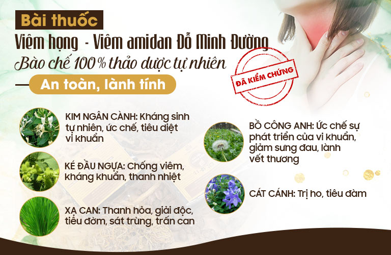 Thành phần Viêm Họng Đỗ Minh