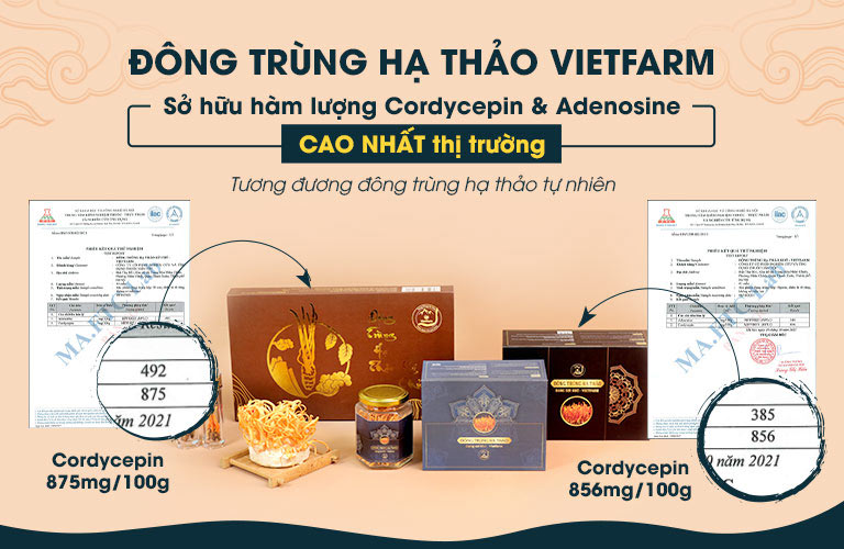 Đông trùng hạ thảo Vietfarm đã được kiểm định bởi cơ quan có thẩm quyền